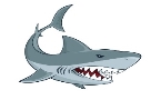 Идеи на тему «Картинки с акулами» (19) | картинки с акулами, акула, рисунки